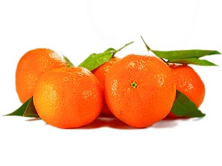 mandarina-proizvodi-timecco-rs-1